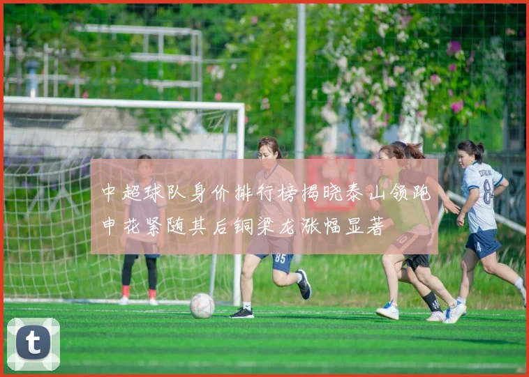 中超球队身价排行榜揭晓泰山领跑申花紧随其后铜梁龙涨幅显著